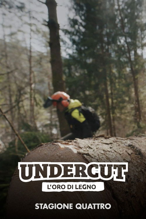 Season 4 (2021) - Season 4 poster and promotional image