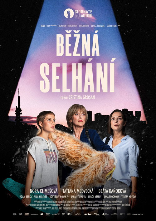 Ordinary Failures poster