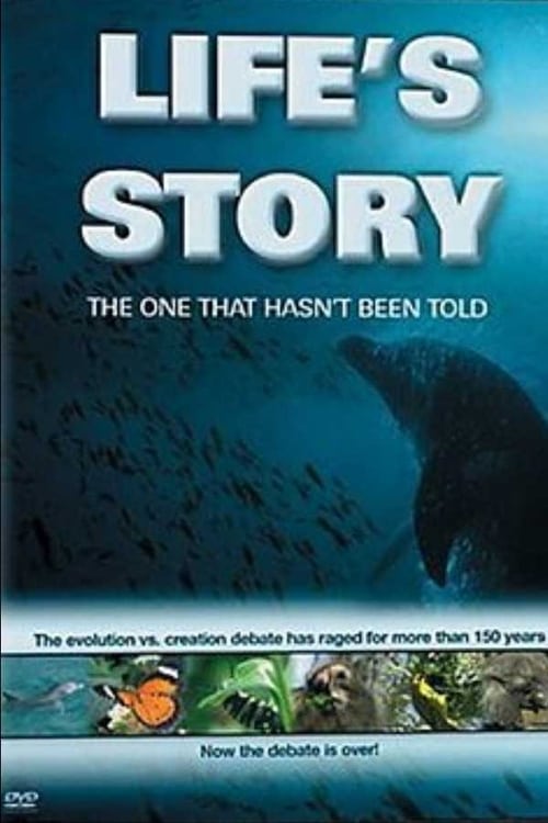 Life's Story 2004