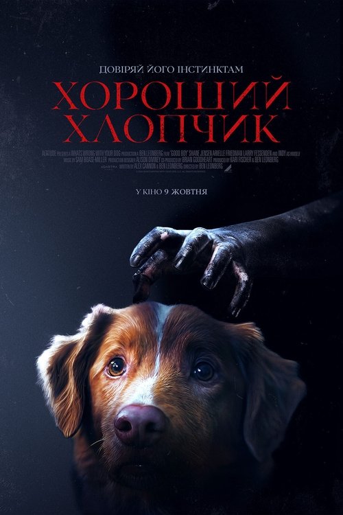 Хороший хлопчик / Good Boy (2025) TMDB poster