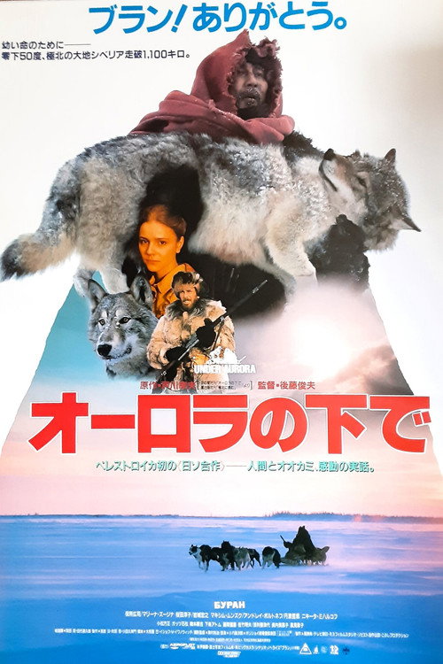 Aurora Borealis poster