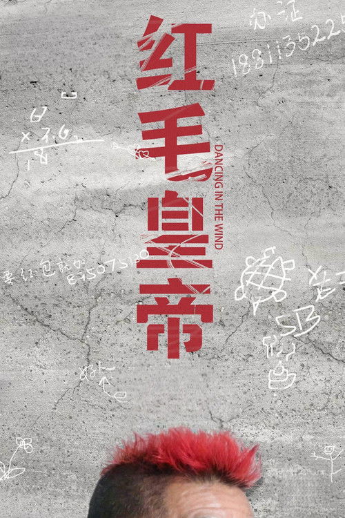 Dancing in the Wind poster