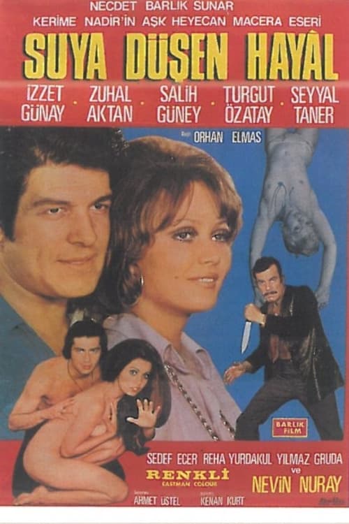 Suya Düşen Hayal (1972) poster