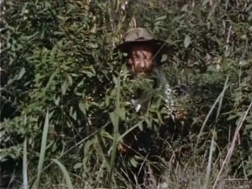Skippy the Bush Kangaroo, S02E35 - (1969)