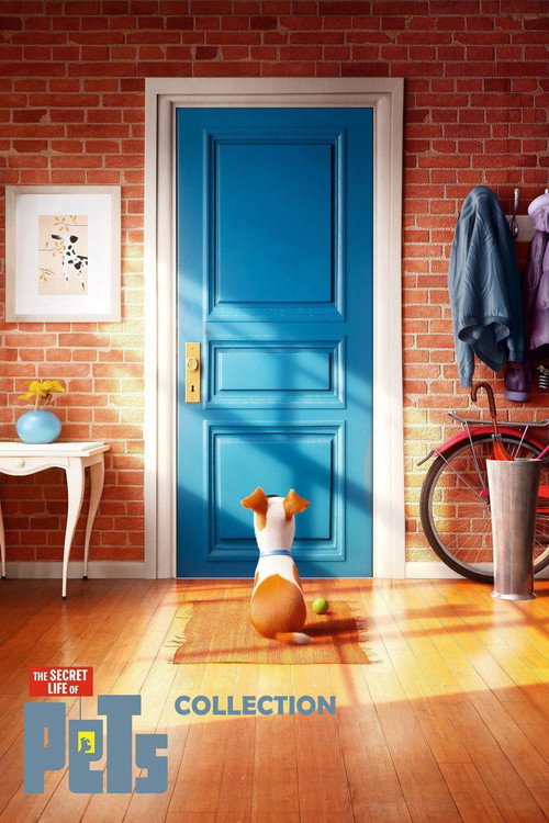 La vida secreta de tus mascotas
