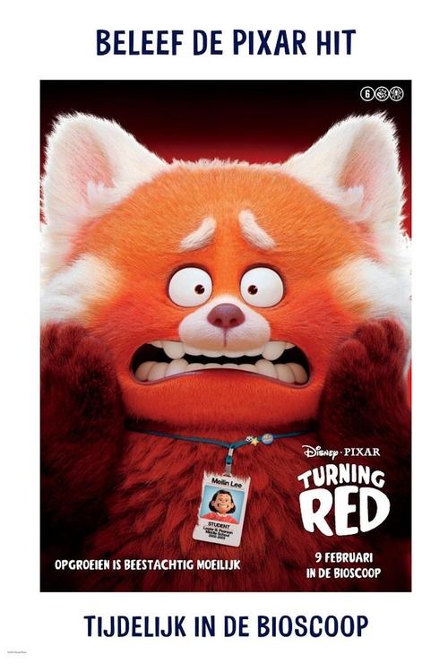 Turning Red (2022) poster