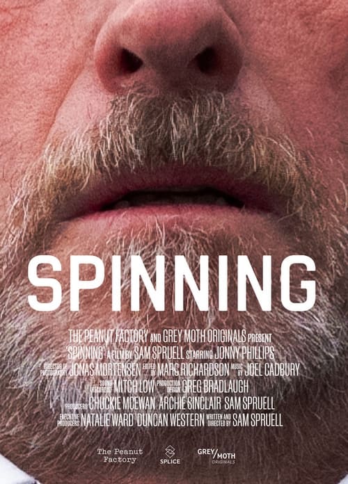 Poster do filme Spinning