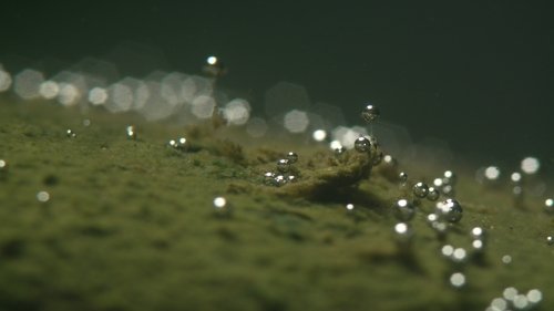 One Strange Rock: 1×3