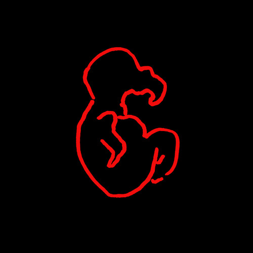 Logo Timple Tomple Incorporated