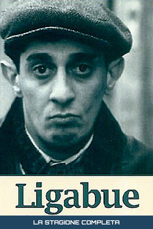Miniseries poster