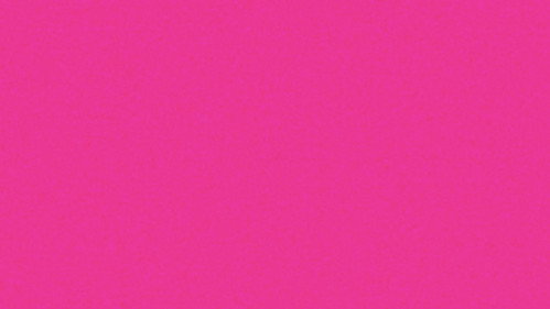 Our Memories Together Won't Rot in the Bag