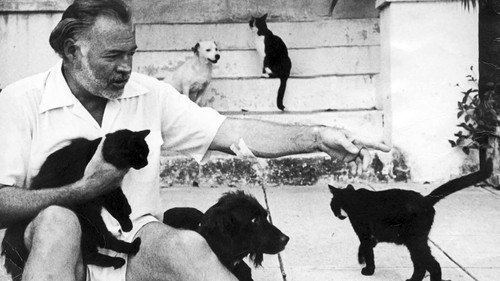 Rum & Revolution – History of Havana