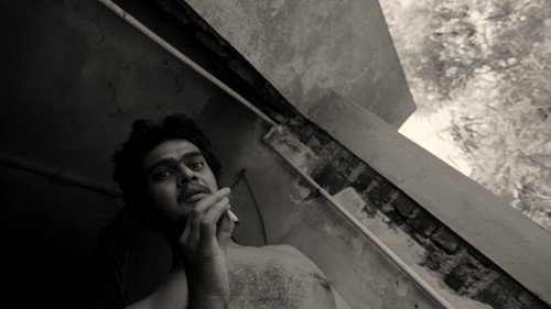 A Fly Floating In The Midst Of The Milk