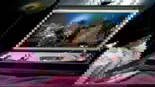 Image de l'épisode 10
