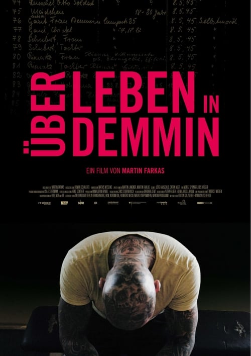 Über Leben in Demmin poster