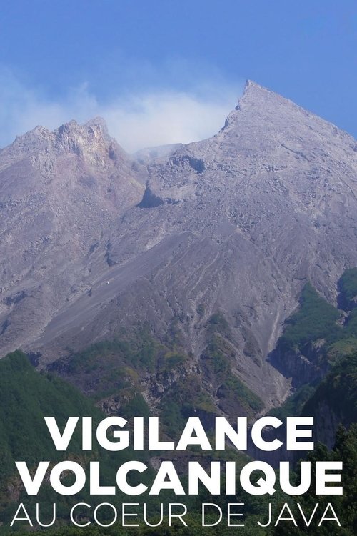Vigilance volcanique au coeur de Java Poster