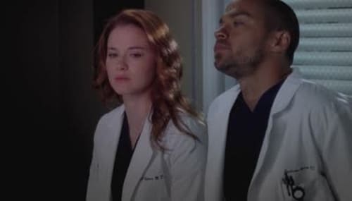 Grey's Anatomy - Season 9 - Episode 19: Can't Fight This Feeling