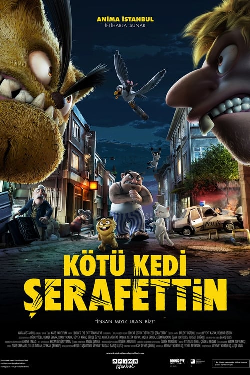 Kötü Kedi Şerafettin ( Kötü Kedi Şerafettin )