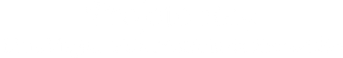 Projeto 1619: Uma Viagem Pela História da Escravidão