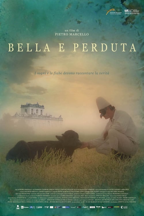 Bella e perduta (2015) poster