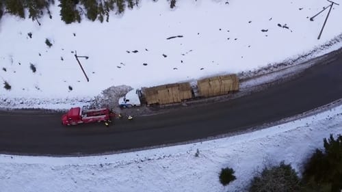 Highway Thru Hell, S10E02 - (2021)