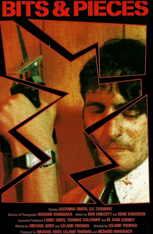 Bits and Pieces movie poster player