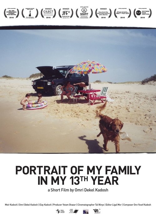 Portrait Of My Family In My 13th Year movie poster player