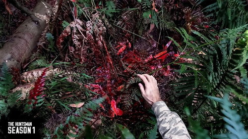 Would YOU take this shot?