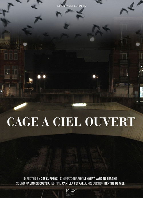 Cage À Ciel Ouvert