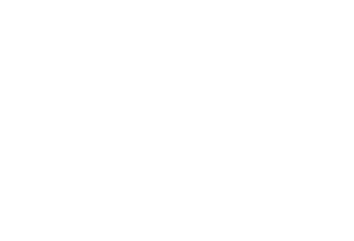 Light in the Dark