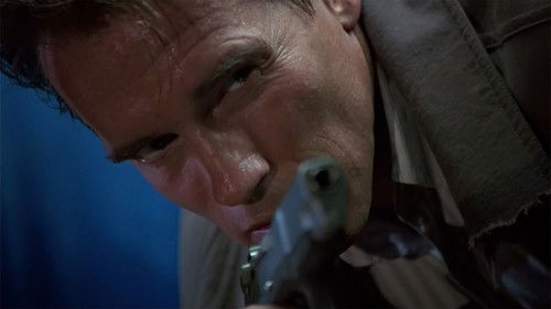 True Lies Torrent BluRay (1994) Dual Áudio e Legendado