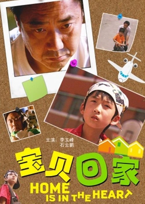 宝贝回家 (2010) poster