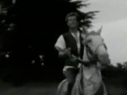 Whipping Boy Still