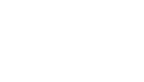 The Rebel