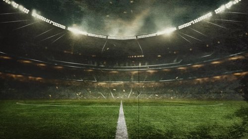 Des cris dans le stade, enquête sur le racisme dans le football Des cris dans le stade, enquête sur le racisme dans le football
