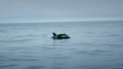 Ireland's Deep Atlantic