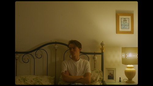 Awake in the Evening Backdrop Blur