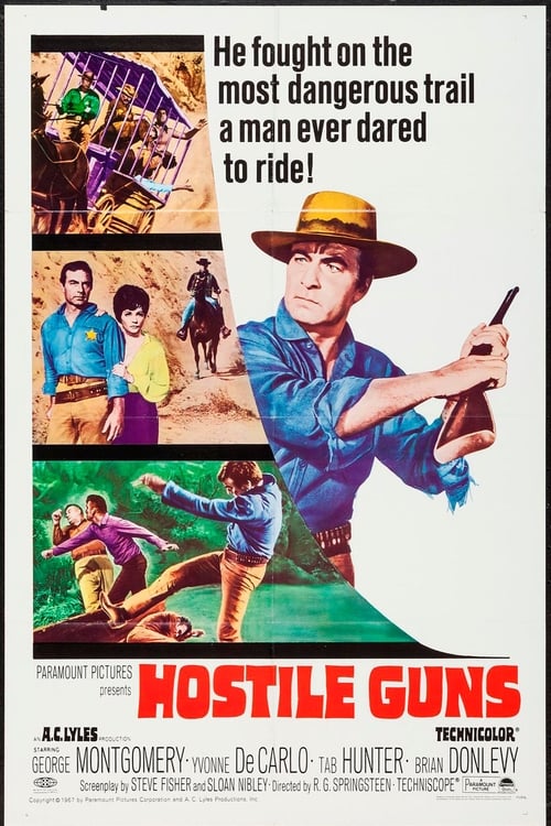 Hostile Guns 1967