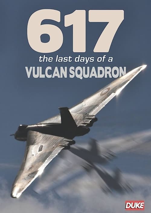 Poster 617: The Last Days of a Vulcan Squadron 1982