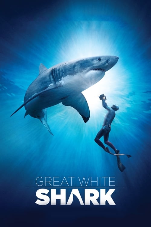 Great White Shark 2013