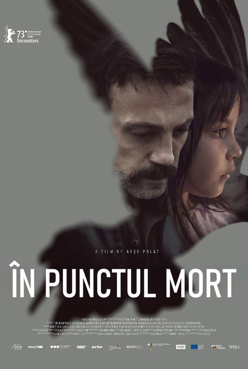 In the Blind Spot poster