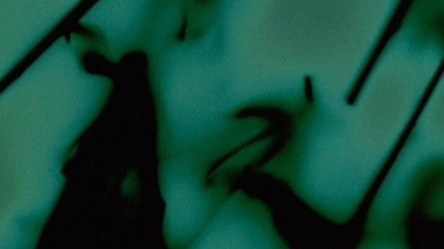 Disorient — Fundos 1