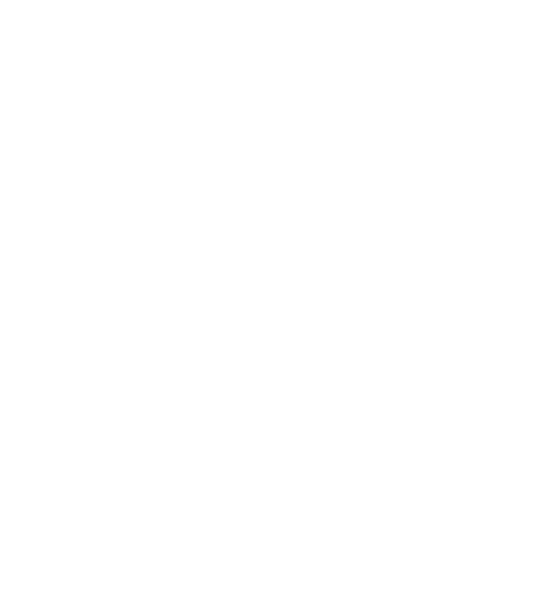 Logo Taylah Made Films