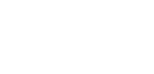 لوجو موفاسا: الأسد الملك