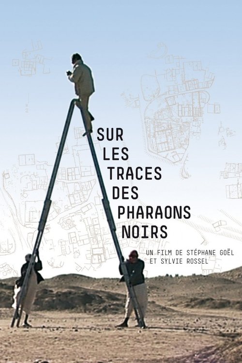 Sur les traces des pharaons noirs (2006)