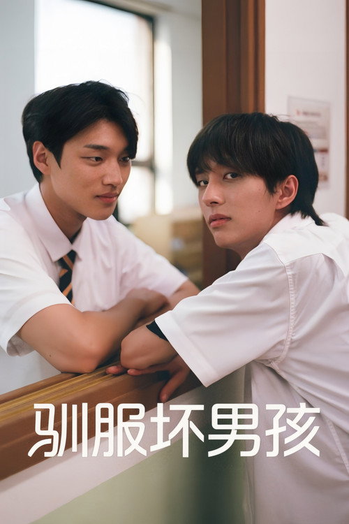 驯服坏男孩