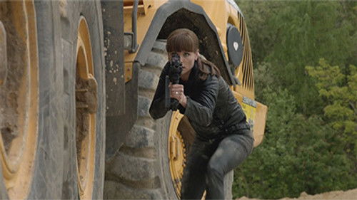 Poster della serie Flikken Maastricht