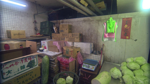 Xining Public Housing still
