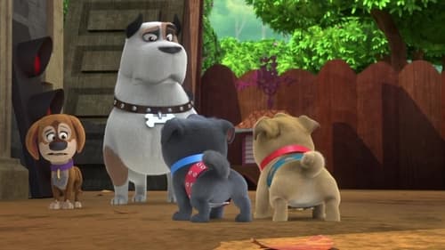 Puppy Dog Pals, S03E29 - (2020)