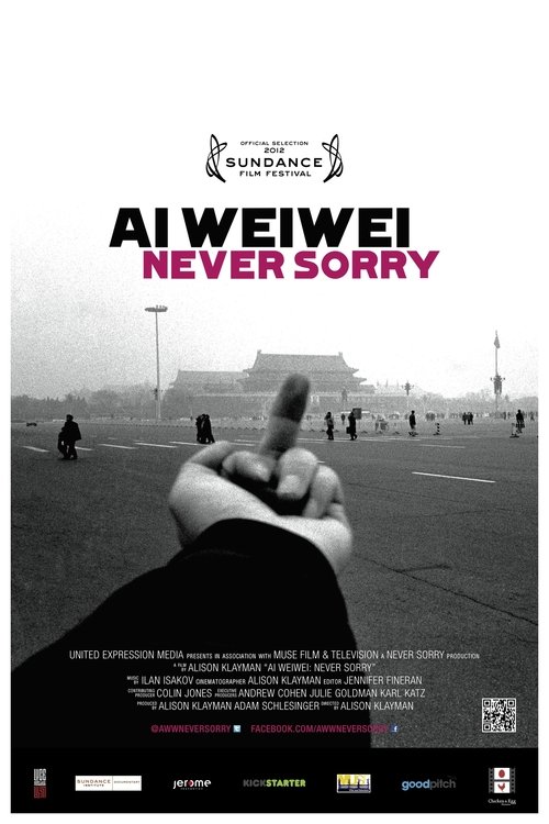 Ai Weiwei: Never Sorry poster